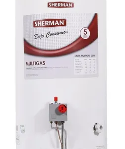 TERMOTANQUE GAS NATURAL PIE 80 lts RHEEM